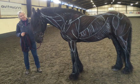 Painted horse demonstration